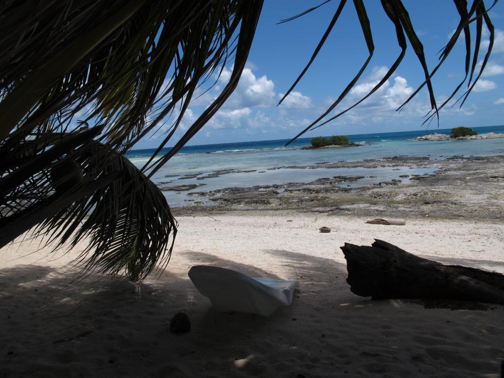 Bed And Breakfast Tikehau Luaran gambar
